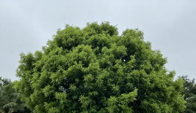 信息整合在找忻州公司的实际应用环节